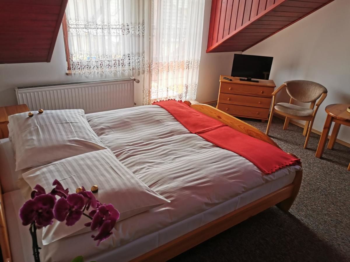 Отели типа «постель и завтрак» Dom pod Tujami Краков-22