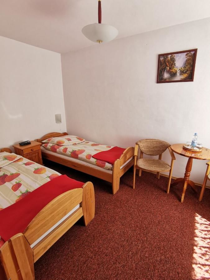 Отели типа «постель и завтрак» Dom pod Tujami Краков-24