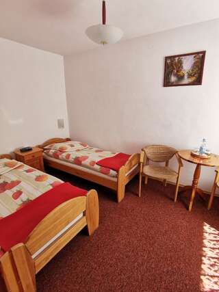 Отели типа «постель и завтрак» Dom pod Tujami Краков Двухместный номер с 1 кроватью-5