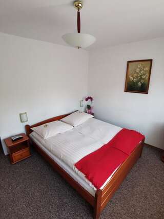 Отели типа «постель и завтрак» Dom pod Tujami Краков Двухместный номер с 1 кроватью-10